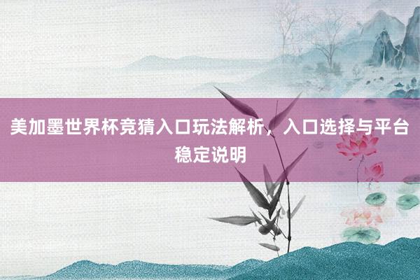 美加墨世界杯竞猜入口玩法解析,入口选择与平台稳定说明